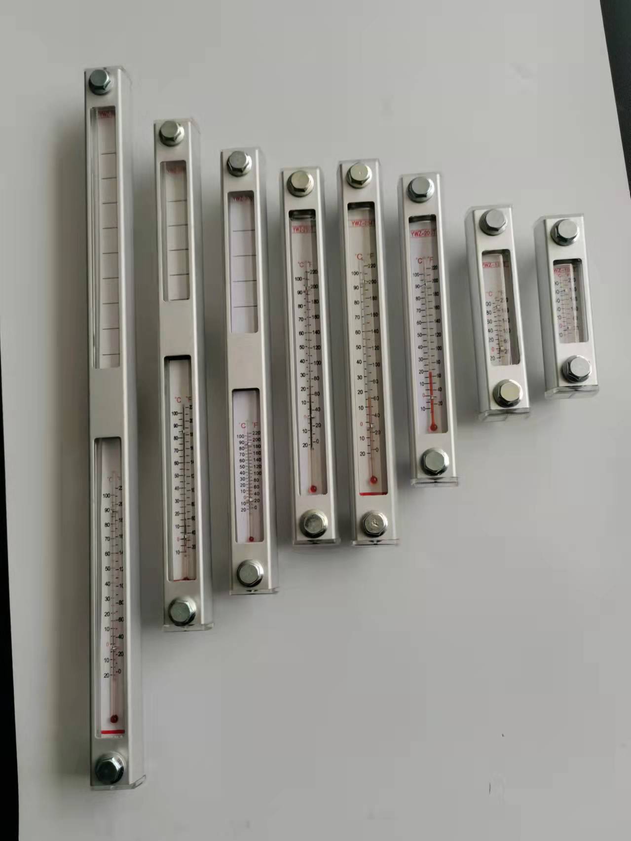 YWZ-300T液位液位计